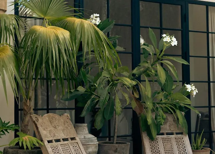 Gila - 2br With Pool & Rooftop チャングー